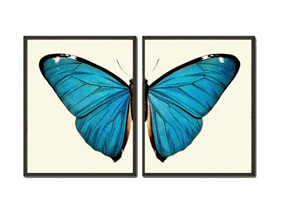 #ad Blue Butterfly Wall Art Set of 2 Prints Beautiful Colorful Garden Unframed $18.00