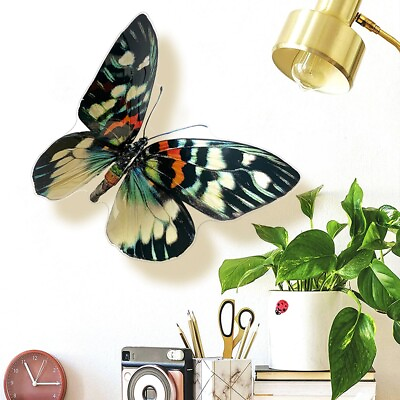 #ad 3D DIY Wall Stickers Butterfly Removable Home Room Art Decal Decor Decorations $10.33