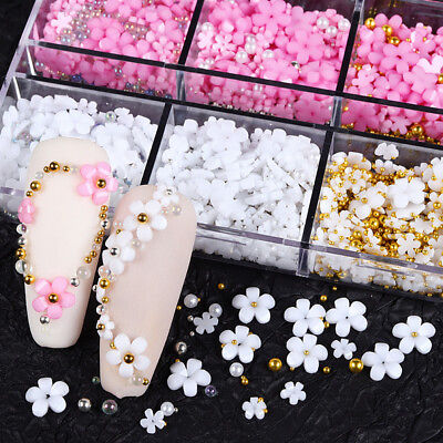 #ad 6 Grids Resin Flowers Acrylic Petals Nail Rhinestone Kit For Manicure Nail Art $3.89