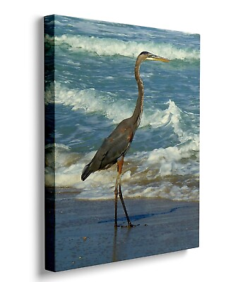 #ad Bird Canvas Wall Art Coastal Decor Nautical on Beach Canvas Picture Ocean Bird $48.99