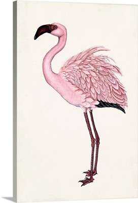 #ad Striking Flamingo II Canvas Wall Art Print Flamingo Home Decor $379.99