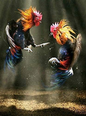 #ad #ad Retro Two Roosters Fighting Chicken Art Metal Wall Plaque Chicken Coop Decor Out $8.00