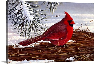 #ad Under The Pine Canvas Wall Art Print Cardinal Home Decor $49.99