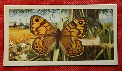 #ad WALL Butterfly Vintage 1960#x27;s Card CD08 GBP 3.99