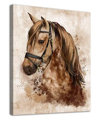 #ad Abstract Wall Art Horse Canvas Pictures Watercolor Painting Prints Modern Abs... $30.79