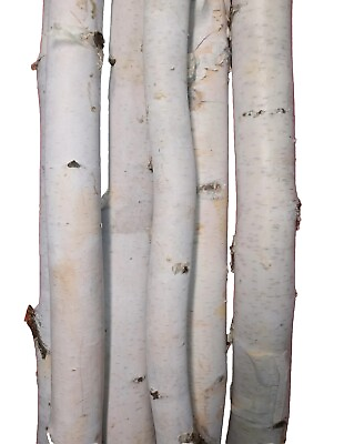 #ad six 4#x27; natural white birch poles. rustic decorations crafts weddings holidays $90.00