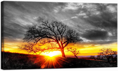 #ad Modern Wall Art Decor Black and White Tree at Gold Sunset Picture Canvas Prints $108.20
