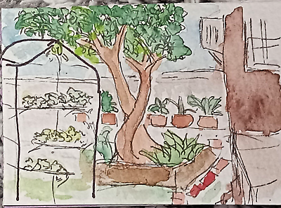 #ad ACEO Original Naive Modern Art Watercolor Painting My Courtyard Garden Trees $6.99