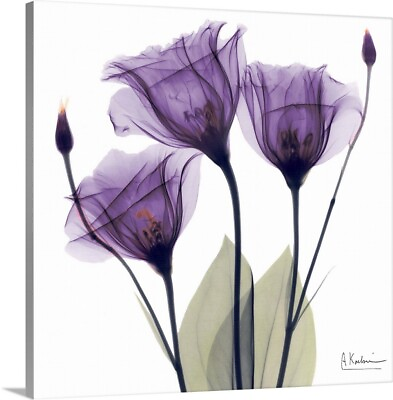 #ad Purple Flower Trio Canvas Wall Art Print Floral Home Decor $94.99