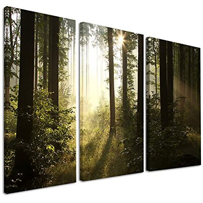 #ad Designart Early Morning Sun in Misty Forest Landscape Photo Canvas Art Print ... $120.30