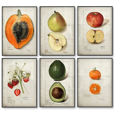 #ad Wall Art Decor Kitchen Vintage Fruit Prints Pear Apple Orange Avocado Set of 6 $16.20
