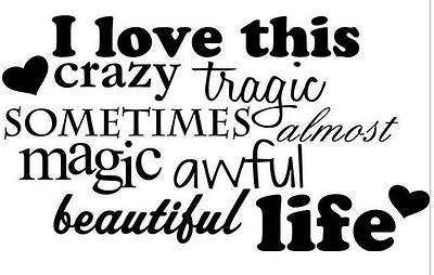 #ad I LOVE THIS CRAZY TRAGIC MAGICAL LIFE wall art decal sticker words lettering DIY $12.36