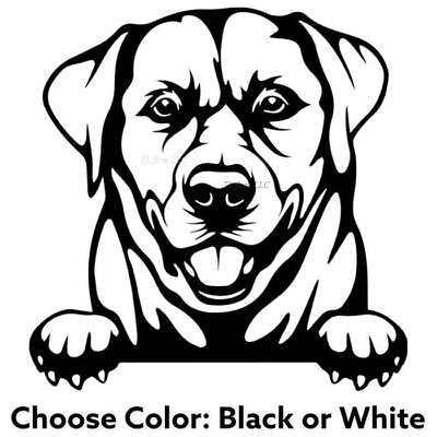 #ad 11quot; Labrador Dog Vinyl Choose Color Decal Sticker for Car Wall Glass Metal $11.84