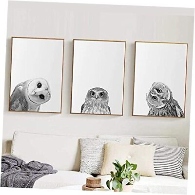 #ad Owl Canvas Wall Art for Nursery Wild Animal Poster Black and White Owl Picture $46.22