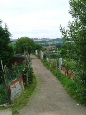 #ad Photo 6x4 Track through Allotments Langley Park Wall Nook NZ2145 c2005 GBP 2.00
