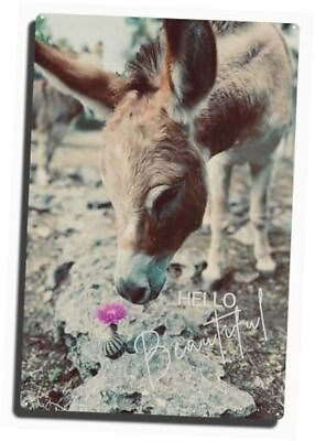 #ad Donkey decor Rustic decoration with donkey and cactus flower Metal Wall $30.89