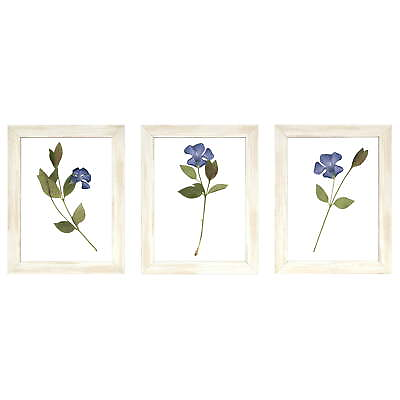 #ad 8 x 10 Clear Floral Float Gallery Wall Framed Art 3 PC Set Photo Holder $14.99