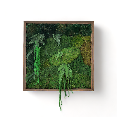 #ad #ad Moss Wall Art Frame 16x16quot; Deep Jungle Wood Art Decor with Preserved Moss $127.99