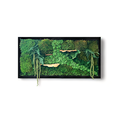 #ad Moss Wall Art Frame 16x32quot; Wood Art Decor with Preserved Moss quot;Woodsy Junglequot; $247.77