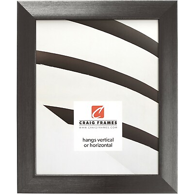 #ad Craig Frames Modern Aesthetics 125 1.25quot; Brushed Charcoal Gray Picture Frame $27.99