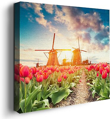 #ad Tulip Wall Art Canvas Decor Themed HD Printed amp; Wooden Framed Wall Art $23.99