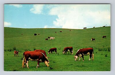 #ad Fort Chiswell VA Virginia Cattle Scene Near Old Fort Vintage Souvenir Postcard $7.99