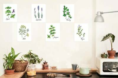 #ad Wall Art Home Decor Kitchen Herbs Set of 6 Prints $19.00