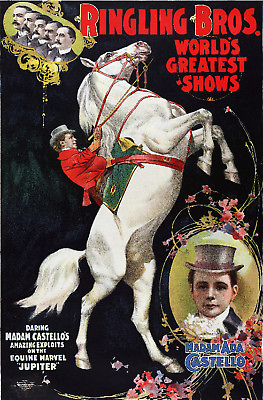 Vintage Circus POSTER.Home wall.White Horse.Room art Decor.859 $60.00