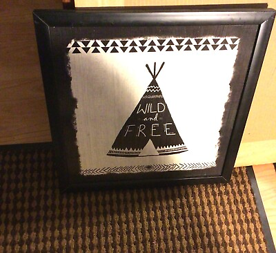 Framed Home Decor ‘ Wild And Free’ Hand Painted With Abstract Decorations. $14.99