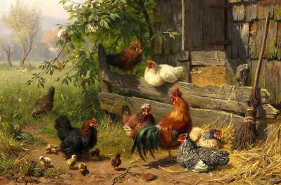 #ad Home decor Roosters and Hens Oil painting Giclee Art Printed on canvas L3393 $24.99