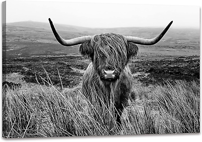 #ad Highland Cow Wall Art Canvas Black and White Artwork Canvas Picture Highland Cow $99.99