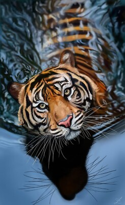 #ad Digital Image Picture Photo Pic Wallpaper Background Tiger Water Cat AI ART 7777 $0.99