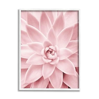 #ad Stupell Industries Pastel Pink Succulent White Framed Giclee Art Design by Si... $57.36