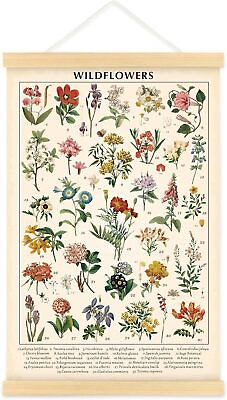 #ad Vintage Wildflowers Poster Botanical Wall Art Prints Colorful Rustic of Floral W $29.03