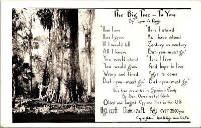 Vtg Longwood FL The Big Tree Cypress Senator Leon Page Poem RPPC Postcard $19.98
