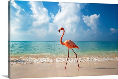 #ad Flamingo Walking Along Beach Canvas Wall Art Print Flamingo Home Decor $379.99