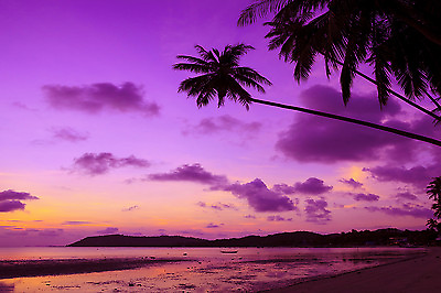 #ad MASSIVE photo landscape art beach A0 CANVAS PRINT TROPICAL PALM ocean sunset AU $76.49
