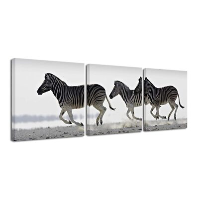 #ad Zebra Canvas Prints Wall Art Black and White Animals Pictures Paintings for L... $32.56