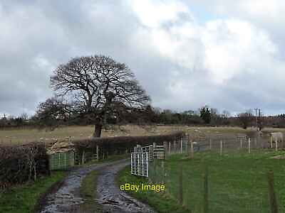 #ad #ad Photo 12x8 Entrance to farm track Wall Nook NZ2145 This leads to Stobbile c2022 GBP 6.00