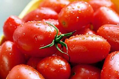 Crovarese Italian Grape Tomato 30 Seeds NON GMO FREE SHIPPING $1.79