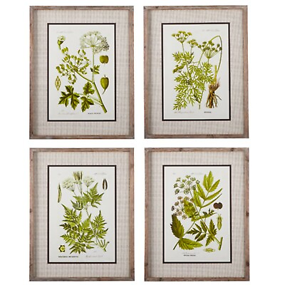 #ad 27.5quot; Botanical Prints Kitchen Wall Art Framed Canvas Home Decor set of 4 New $299.00