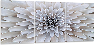 #ad 3 Piece Canvas Wall Art with Textured Light Blue and White Flower Paintings fo $51.87