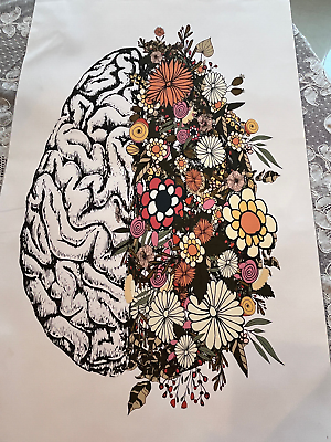#ad Canvas Home wall Art decoration.Human anatomy brain and Floral Medical $24.00
