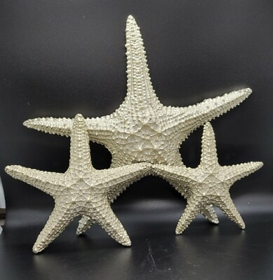 #ad Beautiful Yelton Fetco Home Décor Starfish 3 Pcs Set Wall Décor Neutral Color $53.23
