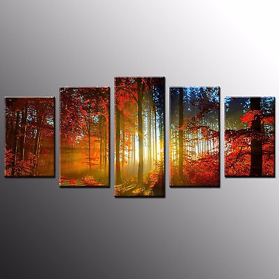 #ad FRAMED Forest Light Photo Canvas Prints Home Decor Canvas Wall Art Painting 5pcs $81.00