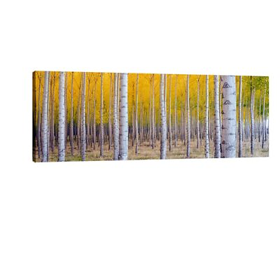 #ad Canvas Prints Wall Art White Birch Trees Pictures Paintings for Living Room H... $63.31