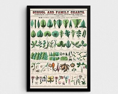 #ad Kitchen Decor Unframed Poster 11x17 Retro Prints Wall Art Botanical Art Prints $14.90