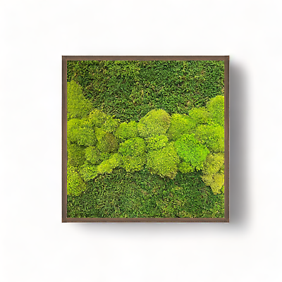 #ad Moss Wall Art Frame 24x24quot; Wood Art Decor with Preserved Moss Hoppy Fields $395.95