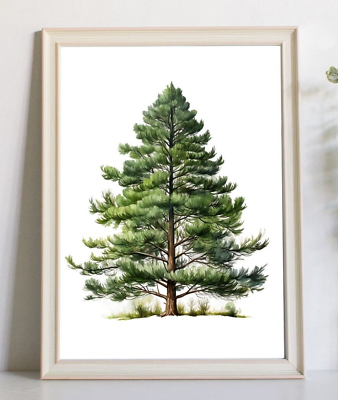 #ad #ad Tree Wall Art Print Pine Tree Wall Art Decor Forest Trees Print Home Decor $9.99