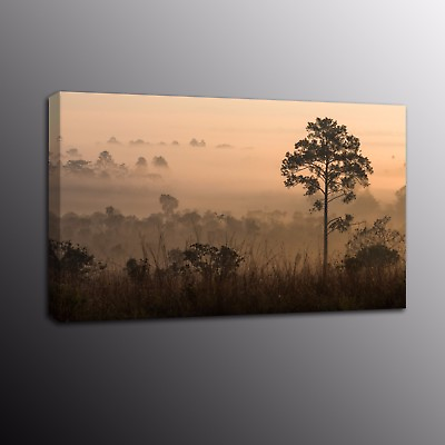 #ad #ad Landscape New Tree Sunrise Fog Canvas Prints Pine Wall Art Painting Home Decor $78.80